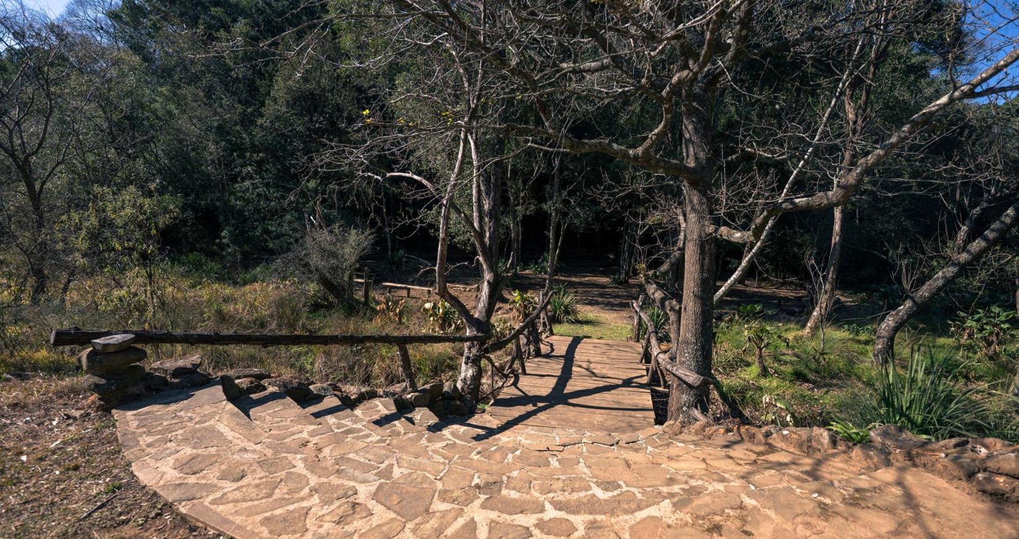 Anew Resort Ingeli Forest Kokstad Kokstad  Exterior photo